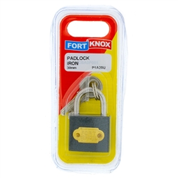 P1A20 - Iron -P1A20_IP_b_T